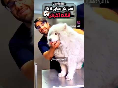آموزش رهایی از گاز فقط آخرش طنز فان خنده