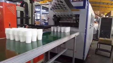 Automatic plastic cup/bowl/food container thermoforming machine with robot stacker