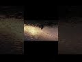 🌧️ Golden Hour Raindrops | Lo-Fi Aesthetic & Soulful Melodies ✨