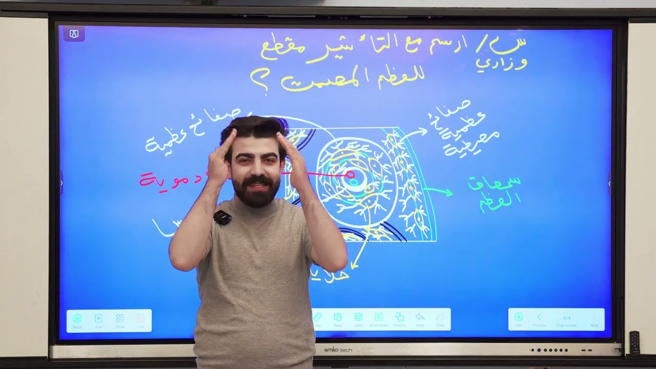 رسومات الفصل الثاني | رسم العظم المصمت الوزاري #يوسف_حاتم