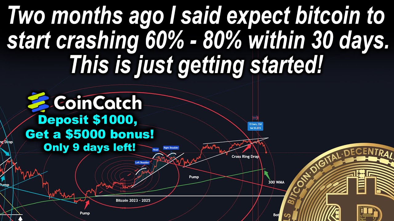 Bitcoin is crashing! Question is do we drop 60% or 80% from the BTC top ...