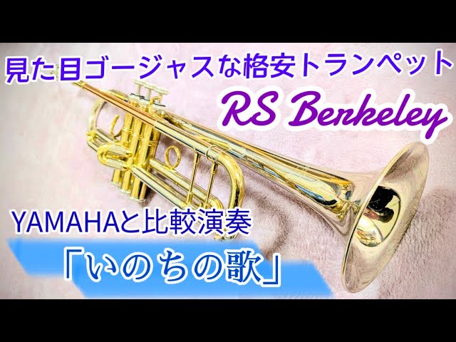 レアな木製のトランペットマウスピース！モーリスベンダーファ：河村