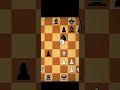 One might think that the black will win and yet... #chess #chesspuzzle #chesstactics #checkmate