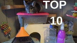 Top 10 Essential Chinchilla Supplies