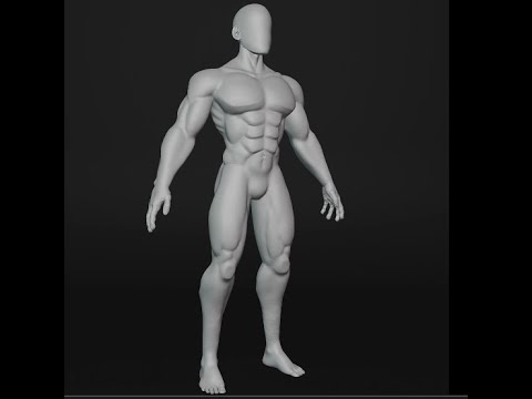 Male Anatomy Sculpt [Blender]