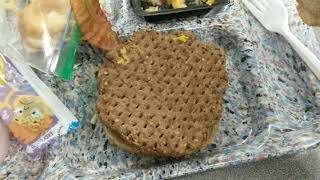 This is what school lunch looks like ⚠️TRYPOPHOBIA ALERT⚠️ Net Worth