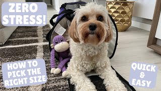 How I Trained My Dog to Love her Carrier for our First International Flight! ✈