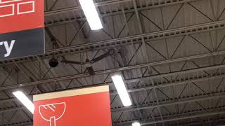 Dayton Leading Edges At Home Depot