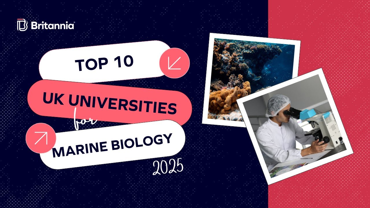 You Won't Believe the Top Marine Biology Universities for 2025!