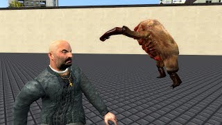 :   vs  |Gmod 