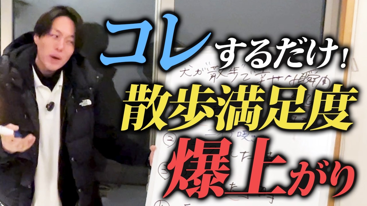 【現場の声】愛犬の“満足度”が上がるお散歩法5選|警察犬ドッグトレーナー 解説