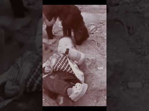 عرفتو انا مين غناء حكيم الطبرى حياة