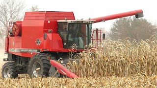 Corn Harvest 2020 | Massey Ferguson 8780 Combine Harvesting Corn | Ontario, Canada