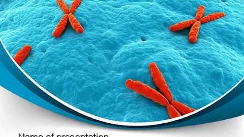 X-Chromosome PowerPoint Template by PoweredTemplate.com