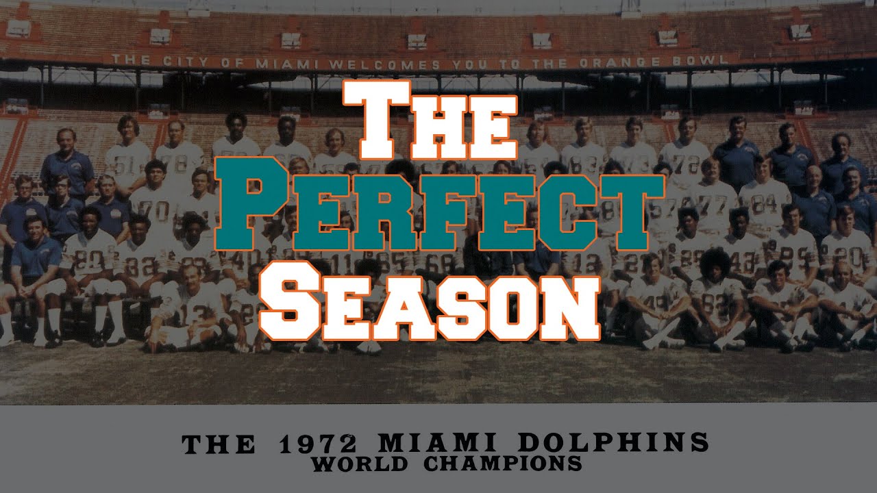 Image result for the perfect Dolphins images