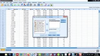 Independent Sample t-test Using SPSS screenshot 3