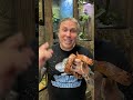 HAPPY REPTILE AWARENESS DAY! I THE REPTARIUM #SHORTS