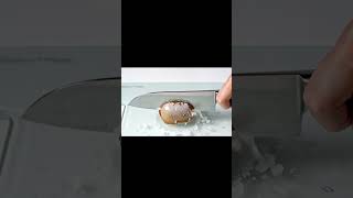 Download Lagu Cutting a Frozen Kiwi in Slow Motion 🧊🥝 (ASMR Satisfaction) #asmr #aivideo MP3