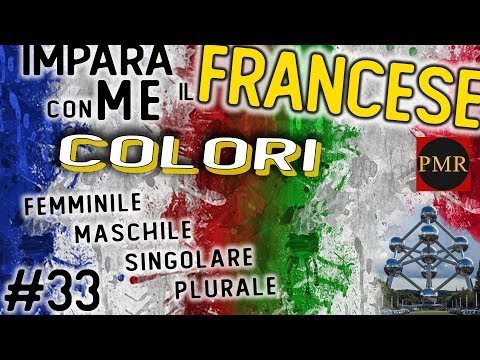 Impara il Francese : colori: femminile, maschile, singolare, plurale(2)#33- MARIA ROSA PINTO ARTE BR