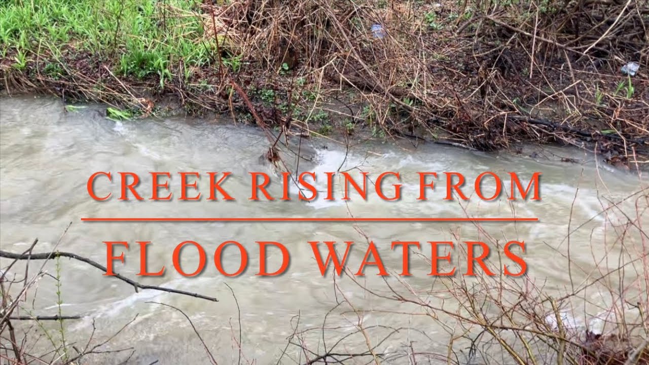 Creek Rising! Spring Season Rain 