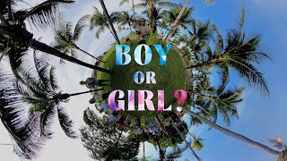 360 VR - ¿Niño o Niña? - Descubriendo el sexo de nuestro segundo bebé! - Gender Reveal