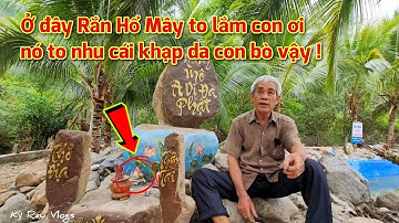 Ớn óc người dân Núi Cấm kể lại giây phút kinh hoàng bị Rắn Hổ Mây khủng dí,nghe kể mà nổi da gà