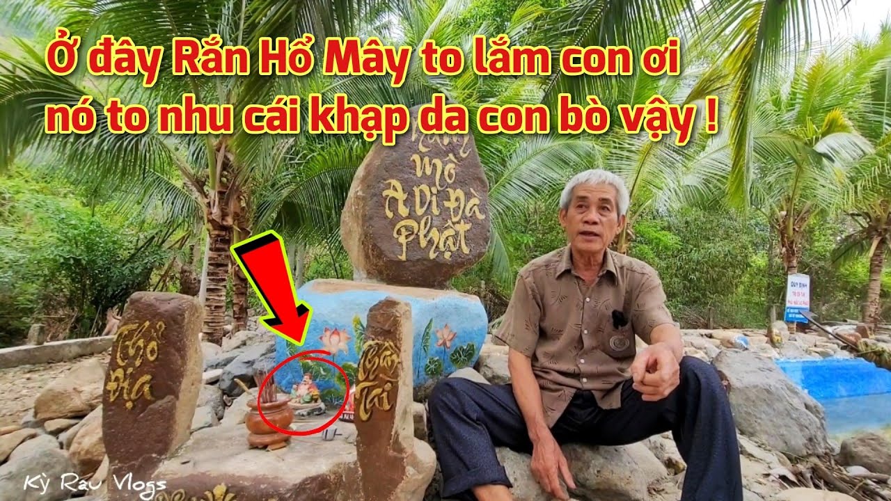 Ớn óc người dân Núi Cấm kể lại giây phút kinh hoàng bị Rắn Hổ Mây khủng dí,nghe kể mà nổi da gà