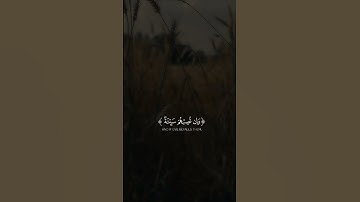 قران كريم راحة نفسية 🤍 #قرآن #اكسبلور #المصحف #مقاطع_دينية #ياسر_الدوسري