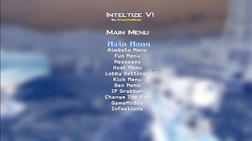 MW2 | INTElTIZE V1 USB MOD MENU