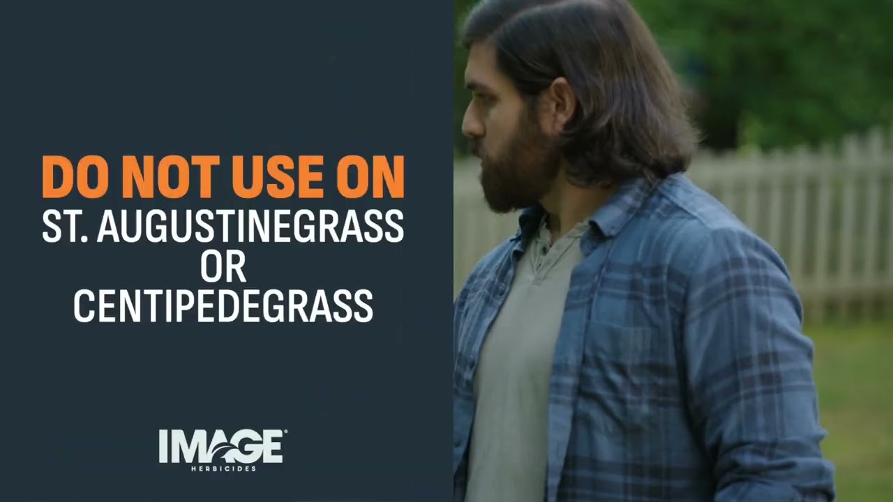 Where to Use Image Crabgrass Killer Ready to Spray