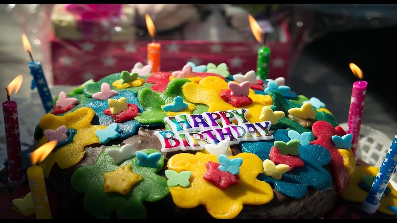 Jouet en peluche pour chien en forme de gâteau d'anniversaire - Bleu