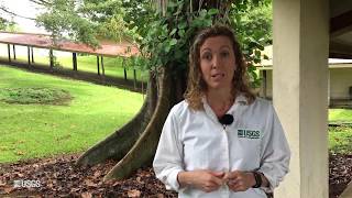 VIDEO: USGS Kilauea volcano update, May 24, 2018