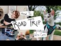 Everything You Need For ROAD TRIPPING With Your Cats! - (Cat Travel tips)