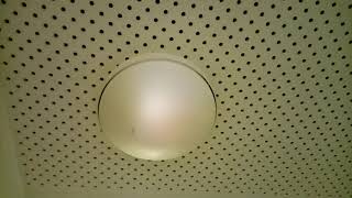 EOL fluorescent light #11: Radium Ralux PL-S 9w