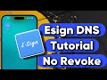 Esign DNS Tutorial and Sideload Apps NO Computer/Revoke! Install IPA Files on iPhone and iPad