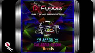 DJ Flexxx - Tu Jaane Se - Calabria Riddim - Remix