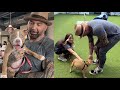 WWE star Dave Bautista adopts abused puppy