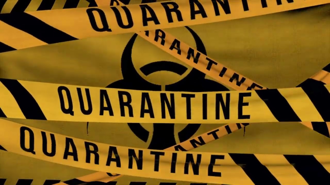 Dystopian Wonderland