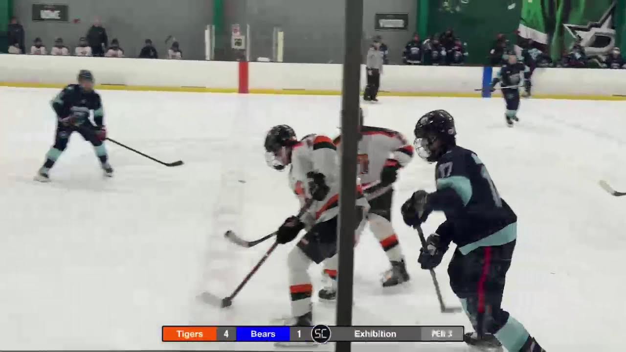 Tigers VS Bears 12-14 Part 2