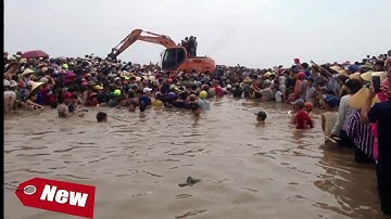 Tin tức mới nhất   Cá voi nặng 10 tấn mắc cạn ở Nghệ An