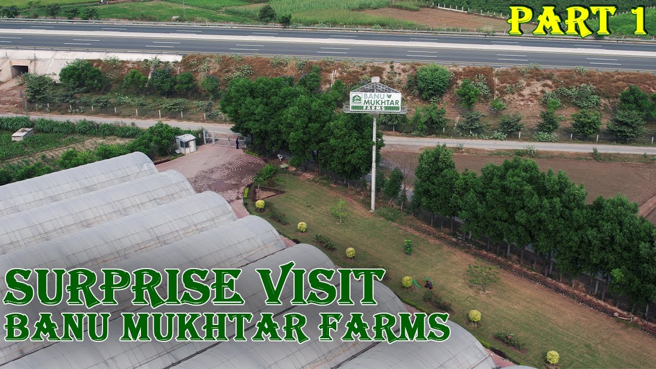 Surprise Visit on Banu Mukhtar Farms | How to Visit Banu Mukhtar Farms |  BM Farms Vlog Part 1