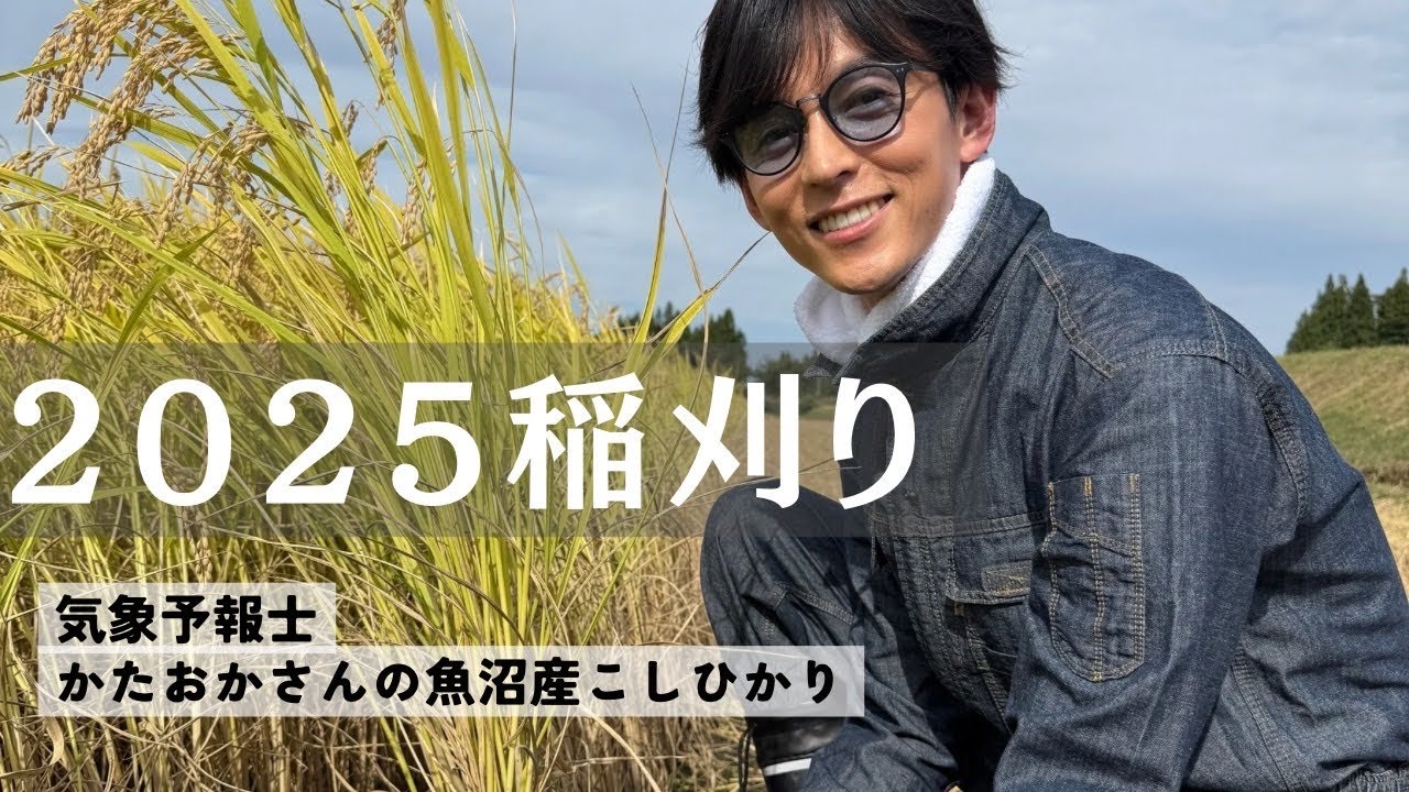 販売開始♪】感謝を込めて！2025年新米の魚沼産こしひかりをどうぞ