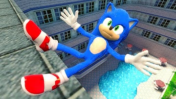 Sonic Ragdolls Physics (GMOD) Episode 690