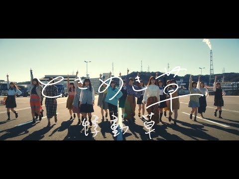【繁中字MV】日向坂46(Hinatazaka46)『ときめき草(悸動草)』