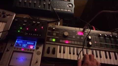 Weekend Korgs [volcas y monotribe y micro korg y KP2 y yo mama]