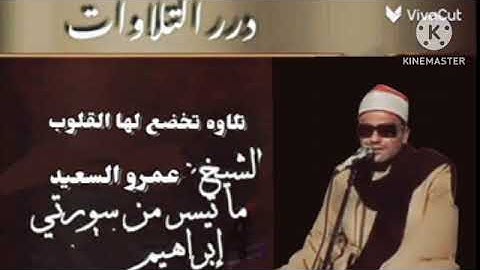 الشيخ عمرو السعيد ماتيسر من سوره ابراهيم بصوت رائع وجميل صوتيات عالم الكاست. ابراهيم بلتاجي 