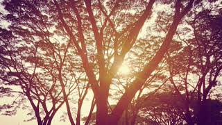 Snap wa Arabic trap Joker