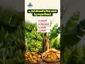 Q. केले की सब्जी व चिप्स बनाने हेतु उपयुक्त किस्म है #agriculture #horticulture #AgricultureQuiz