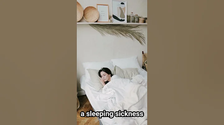 Top 5 most dangerous insects in the world #factshorts #facts #youranimals