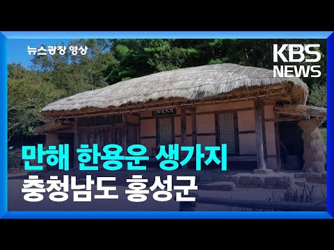 [뉴스광장 영상] 만해 <strong>한용운</strong> 생가지 / KBS  2022.10.19.
